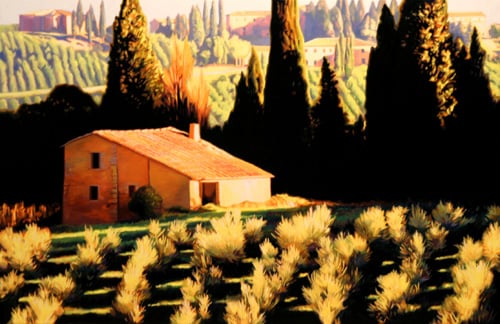 Olive Country, Tuscany